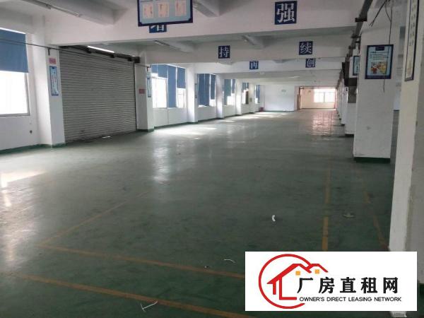  塘厦清湖头工业园标准3楼800平方！双面采光明亮！消防合格