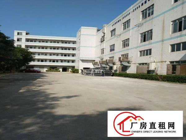  塘厦清湖头工业园标准3楼800平方！双面采光明亮！消防合格