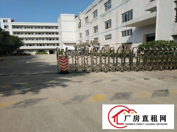  塘厦清湖头工业园标准3楼800平方！双面采光明亮！消防合格