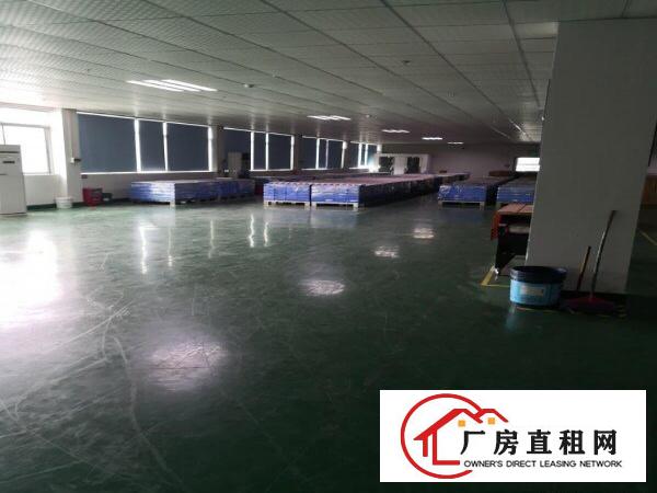  原房东无公摊！塘厦大坪高速出口独院10000平红本厂房招租