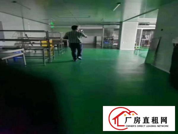  塘厦新出花园式独院厂房