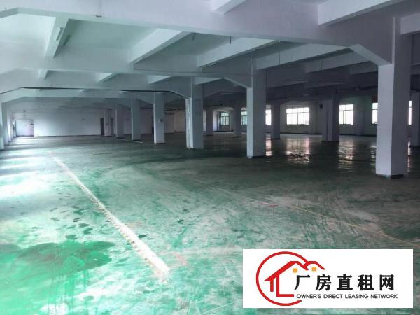  塘厦新出楼上12元厂房，有地坪漆，办公室，500起分租