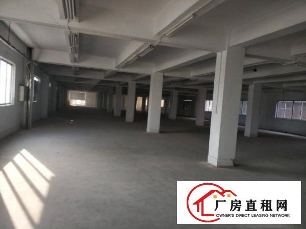  塘厦镇龙背岭厂房出租，仓库出租。