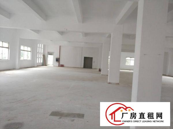  塘厦镇龙背岭厂房出租，仓库出租。