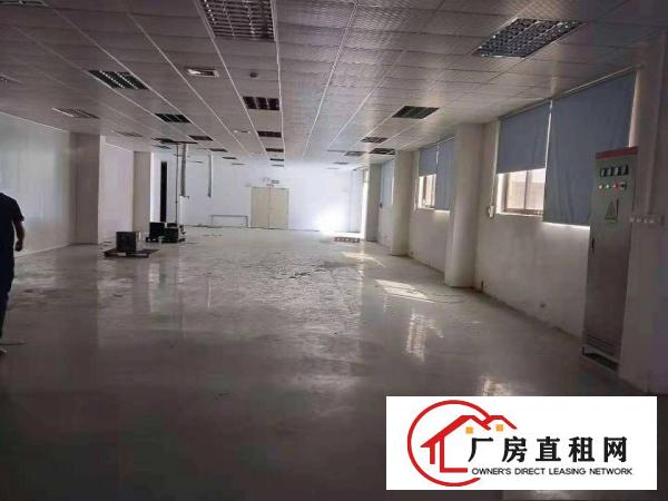  塘厦东深二线旁原房东现成装修独门独院5700平方水电齐全急租