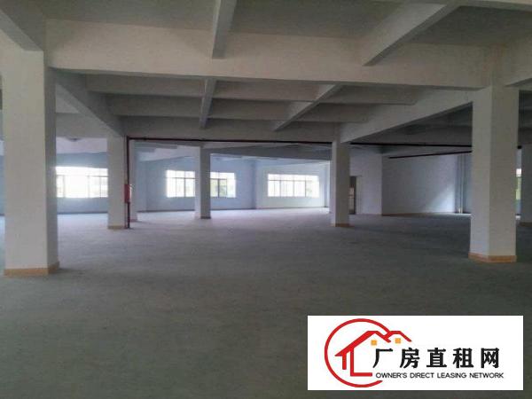  莆心湖标准厂房3000平有办公室装修出租，配有货梯，人流量大