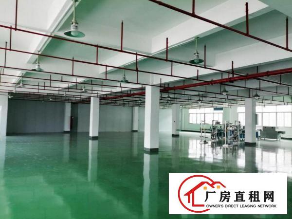  塘厦蛟乙塘居委会旁标准2楼750平方！现成格局免装修