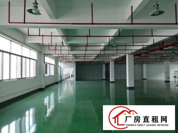  塘厦蛟乙塘居委会旁标准2楼750平方！现成格局免装修