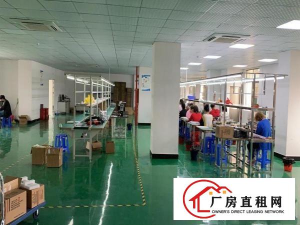  塘厦科苑城独院标准3楼900平方！地坪漆天花吊顶装修