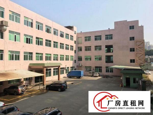  塘厦科苑城独院标准3楼900平方！地坪漆天花吊顶装修