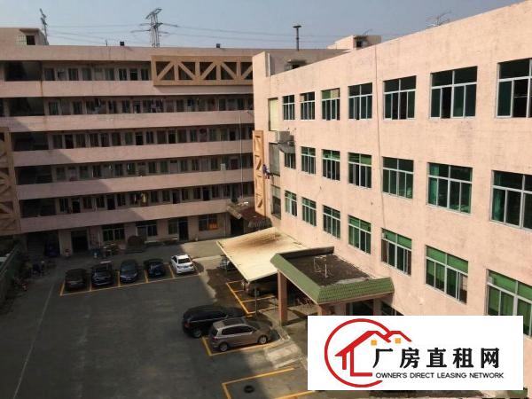  塘厦科苑城独院标准3楼900平方！地坪漆天花吊顶装修