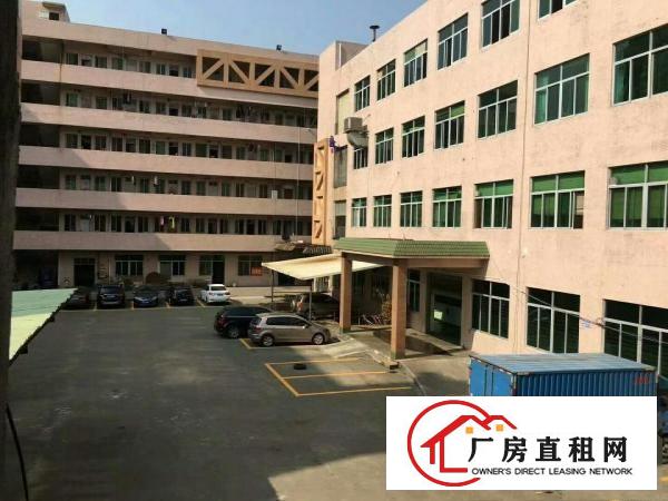  塘厦科苑城独院标准3楼900平方！地坪漆天花吊顶装修
