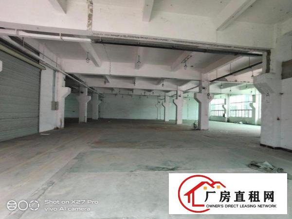  塘厦科苑城新出标准一楼750平带牛角现成办公室花园式厂房出租