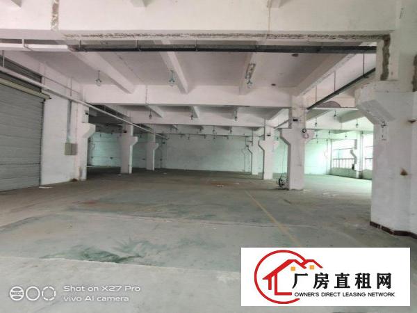  塘厦科苑城新出标准一楼750平带牛角现成办公室花园式厂房出租