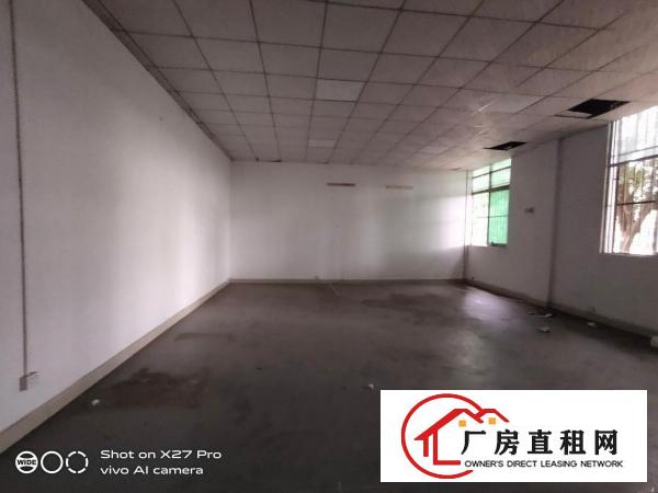  塘厦科苑城新出标准一楼750平带牛角现成办公室花园式厂房出租