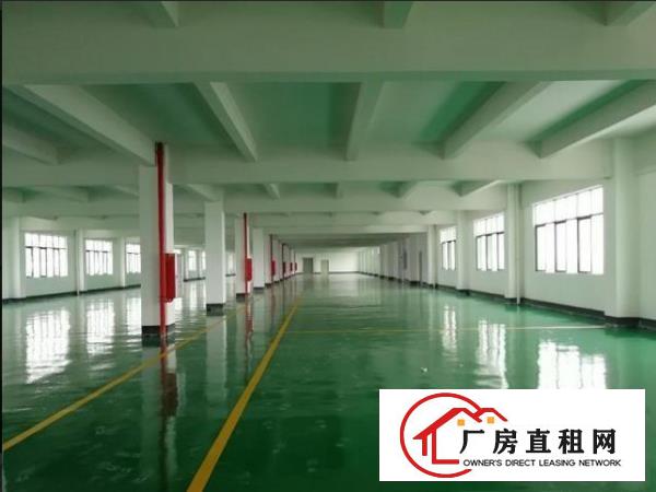  塘厦莆心湖650平米标准厂房三楼采光足水电齐全面积可实量