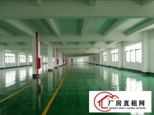  塘厦莆心湖650平米标准厂房三楼采光足水电齐全面积可实量