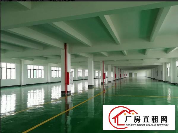  塘厦莆心湖650平米标准厂房三楼采光足水电齐全面积可实量
