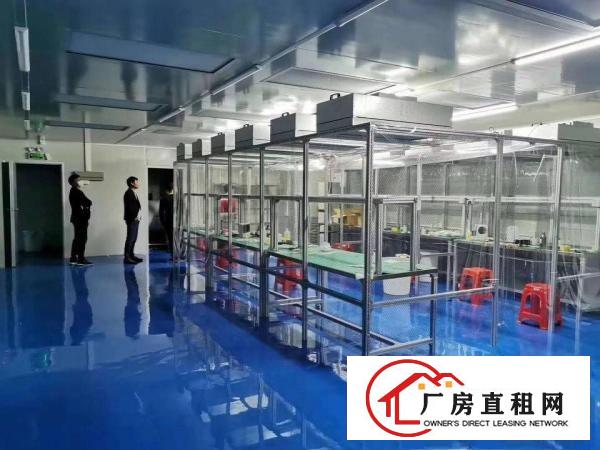  塘厦科苑城无尘车间2000平厂房出租，带有现成风淋室靠近高速