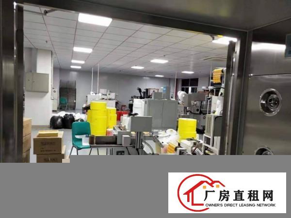  塘厦桥陇惊现2楼880豪装千级无尘车间，电子口罩拎包生产