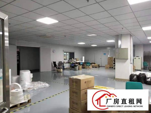  塘厦桥陇惊现2楼880豪装千级无尘车间，电子口罩拎包生产