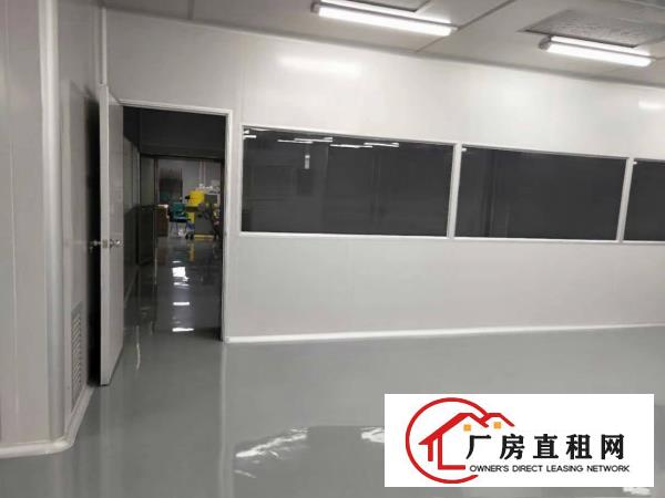  塘厦桥陇惊现2楼880豪装千级无尘车间，电子口罩拎包生产