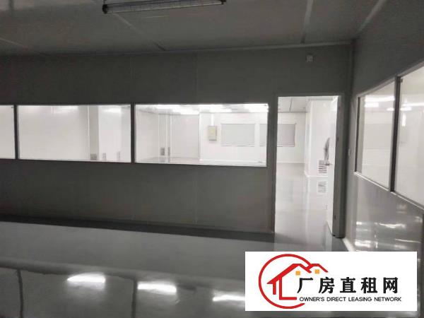  塘厦桥陇惊现2楼880豪装千级无尘车间，电子口罩拎包生产