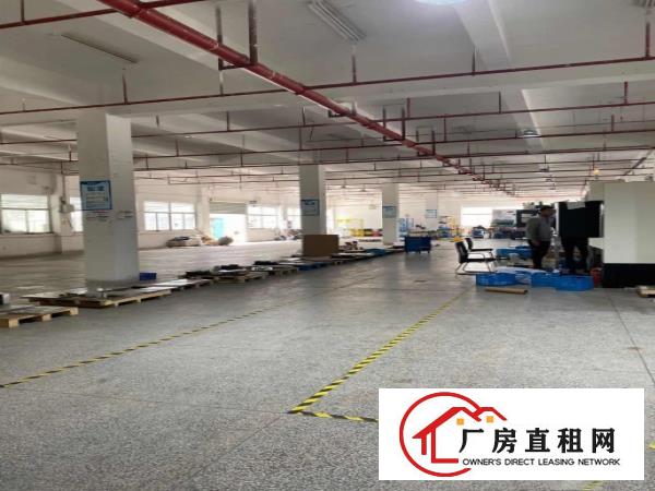  塘厦沙湖独院标准一楼1000平可办环评适合五金抛光打磨拎包驻