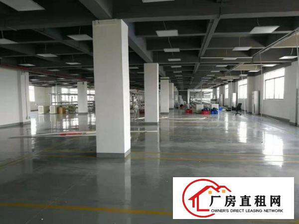  塘厦大坪近深圳标准3楼1580平方！双面窗户采光现成装修