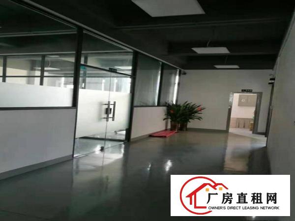  塘厦大坪近深圳标准3楼1580平方！双面窗户采光现成装修