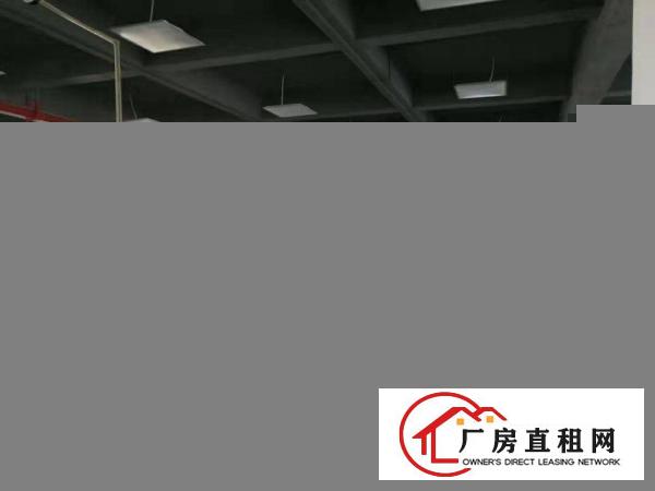  塘厦大坪近深圳标准3楼1580平方！双面窗户采光现成装修