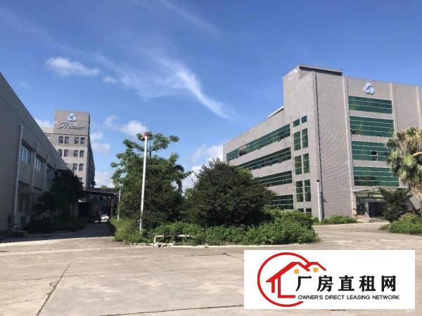  塘厦大坪近深圳标准3楼1580平方！双面窗户采光现成装修