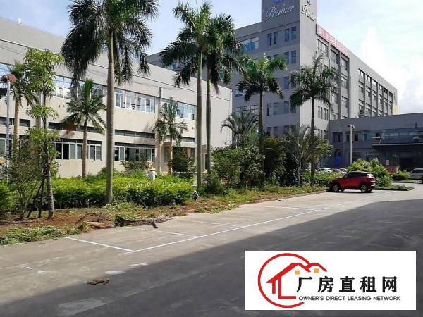  塘厦大坪近深圳标准3楼1580平方！双面窗户采光现成装修