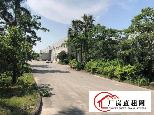 塘厦大坪近深圳标准3楼1580平方！双面窗户采光现成装修