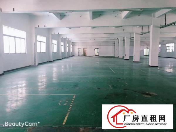  塘厦大坪科苑城村委独门独院5700平厂房，无喝茶费，可分组