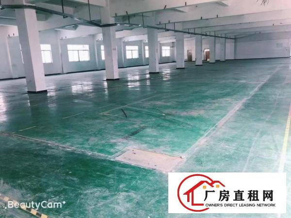  塘厦大坪科苑城村委独门独院5700平厂房，无喝茶费，可分组
