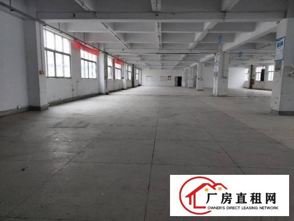  塘厦沙湖独院标准1楼700平方！现成主线，办公室装修