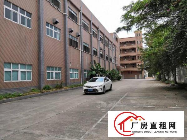  塘厦沙湖独院标准1楼700平方！现成主线，办公室装修