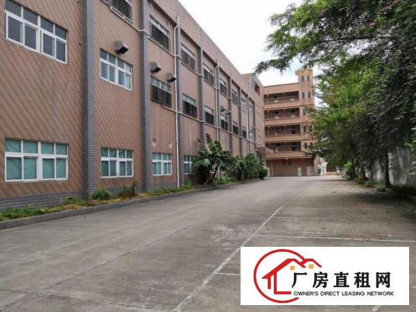  塘厦沙湖独院标准1楼700平方！现成主线，办公室装修