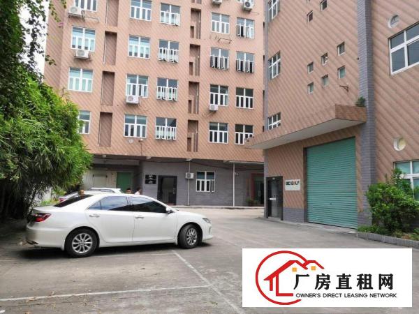  塘厦沙湖独院标准1楼700平方！现成主线，办公室装修