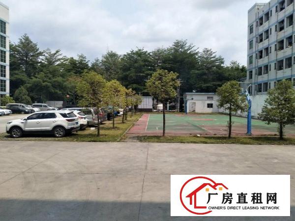  精装修原房东东莞市塘厦镇科苑城楼上1500平米厂房出租