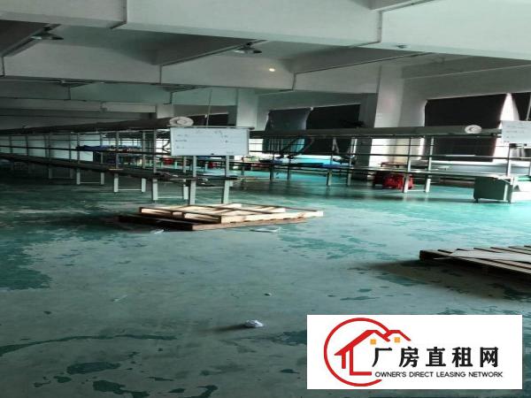  塘厦科苑城楼上1000平，房东接受电池行业