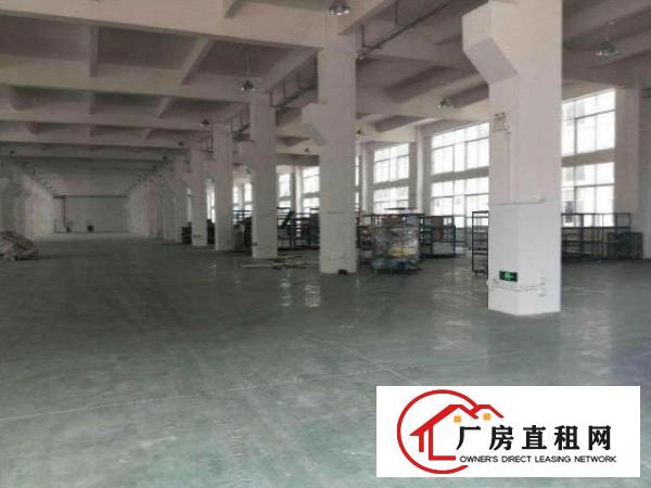  塘厦沙湖大道旁标准1楼1700平方！现成主线！可分租