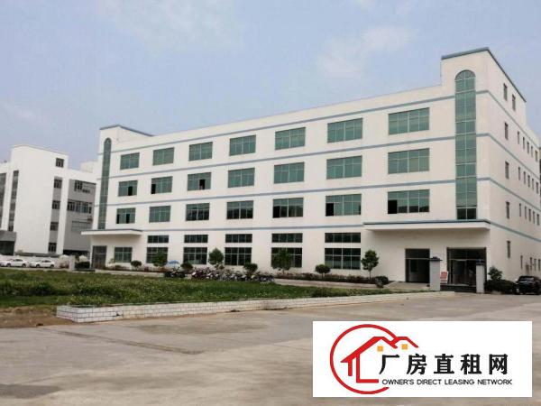  塘厦沙湖大道旁标准1楼1700平方！现成主线！可分租