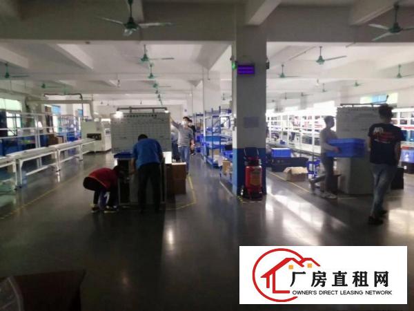  塘厦138工业区现成楼上1300平方，豪华装修，3吨电梯