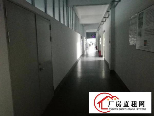 塘厦138工业区现成楼上1300平方，豪华装修，3吨电梯