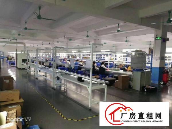  塘厦138工业区现成楼上1300平方，豪华装修，3吨电梯