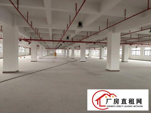  塘厦工业园区原房东自建厂房面积50000平方，500平起分租