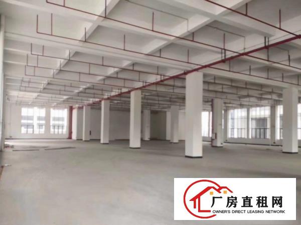 塘厦石潭埔工业区分租原房东标准厂房二楼1300平方可办环坪