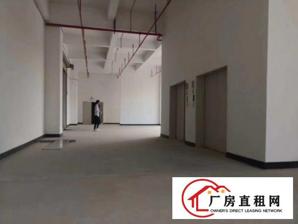  塘厦石潭埔工业区分租原房东标准厂房二楼1300平方可办环坪